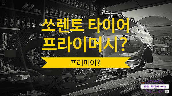  미쉐린 프리미어 as 대신 저는 이 제품이요