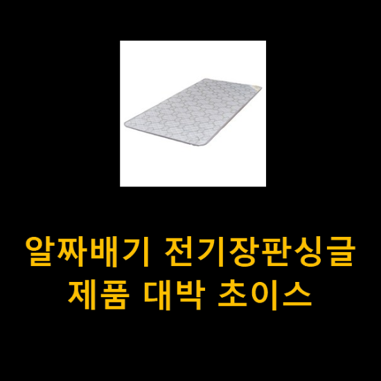 알짜배기 전기장판싱글 제품 대박 초이스 알짜배기 전기장판싱글 제품 대박 초이스