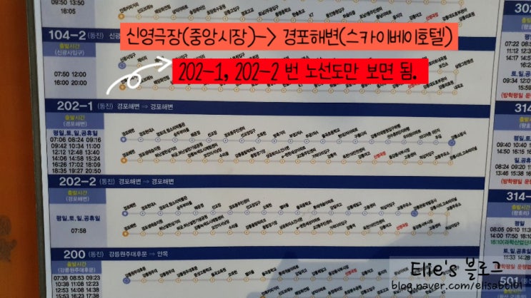  뚜벅이를 위한 스카이베이경포 호텔,경포해변 버스노선 (중앙시장, 강릉역)