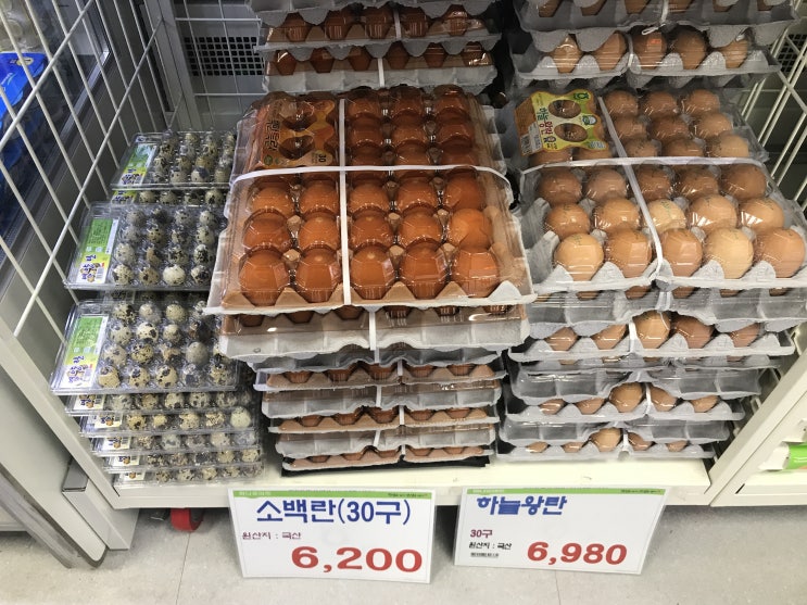  계란 한판 이 가격이 맞나요