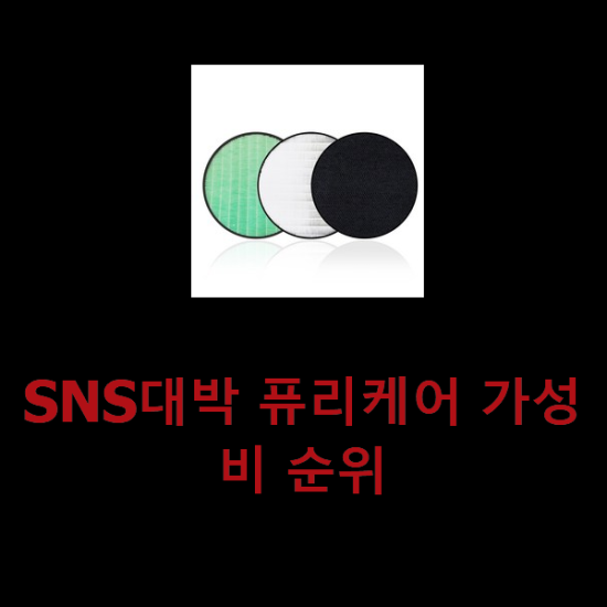 SNS대박 퓨리케어 가성비 순위 SNS대박 퓨리케어 가성비 순위