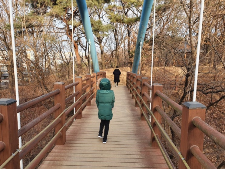  [산책하는 일상] 모담산 산책