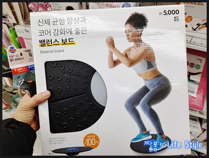  다이소 밸런스보드 어떤 운동기구일까?