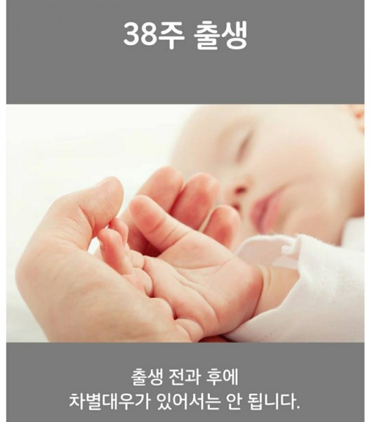 10장 사진 태아 성장기 10장 사진 태아 성장기