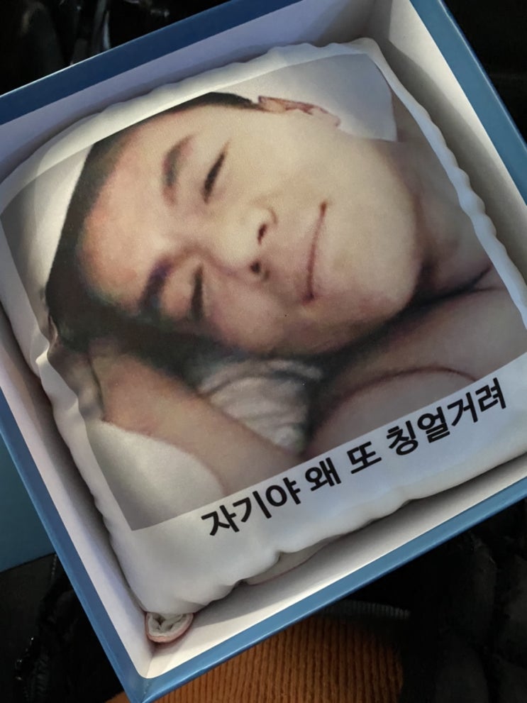  쓸데없는 선물 “박진영쿠션” & 양주카페 “올드릿지”