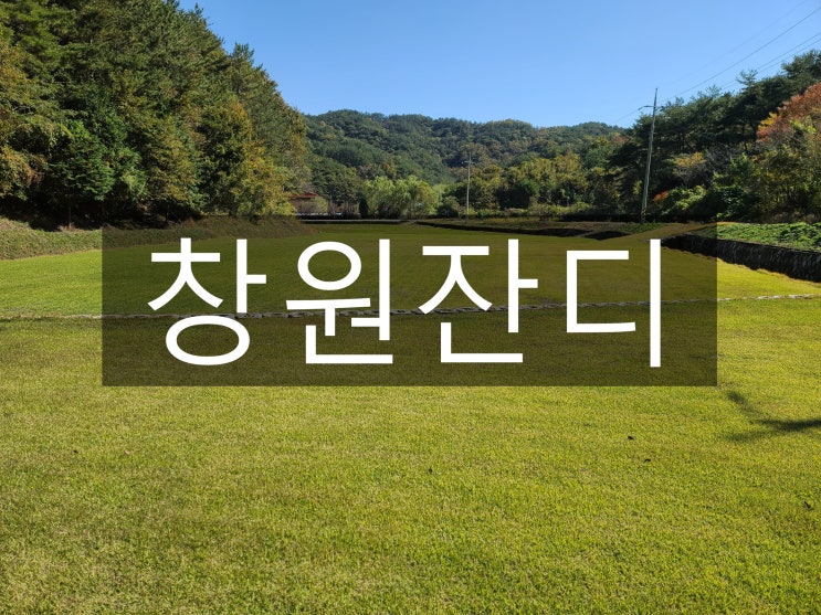  최초의 계획도시 창원 잔디 구매