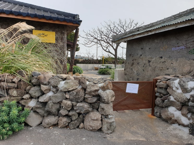 대평리 물고기카페 최근 근황(ft제주 박수기정)