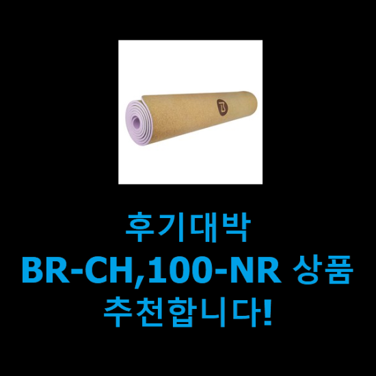 후기대박 BR-CH,100-NR 상품 추천합니다!