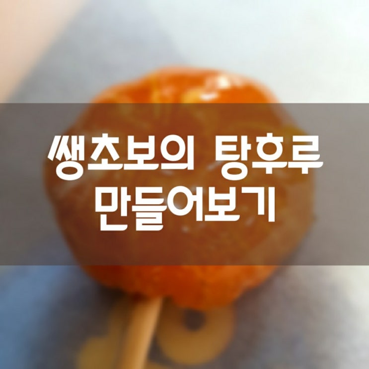  쌩초보 탕후루 만들기