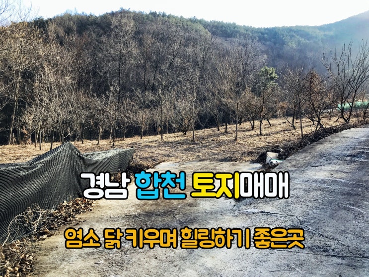  합천부동산(1-718) 마을뒤 조망좋고 염소 닭키우며 힐링하기 좋은 주말농장 경남 토지 합천땅 2,172m2매매 입니다