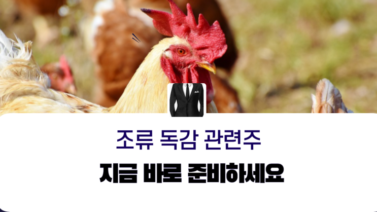  고병원성 ai 관련주, 당장 대비해야 합니다
