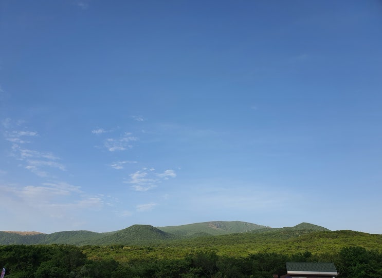   제주 3일 / 제주친구소개 해물뚝배기 / 천지연 / 정방폭포 / 섭지코지 / 천백고지 노루!!!