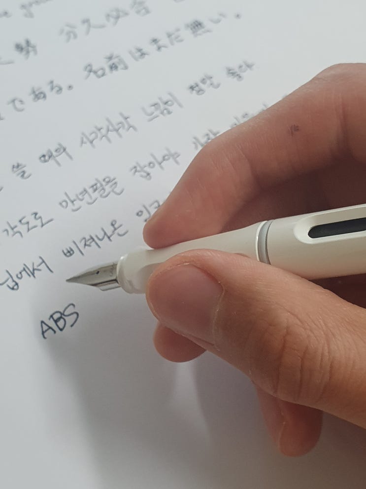  대학생에게 추천하는 만년필, 라미 사파리 리뷰 & 관리하는 법