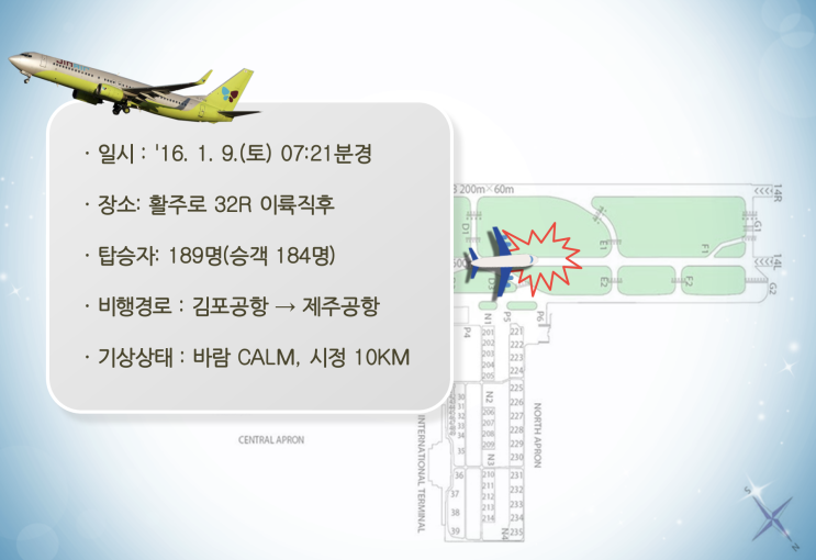  김포공항 버드스트라이크(조류충돌)