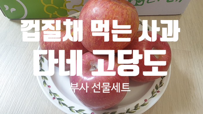 껍질채 먹는 꿀 사과 『 다네 부사 선물세트 』 껍질채 먹는 꿀 사과 『 다네 부사 선물세트 』