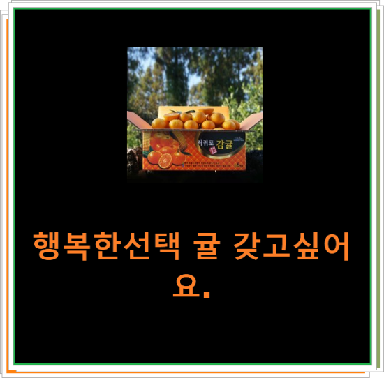 행복한선택 귤 갖고싶어요. 행복한선택 귤 갖고싶어요.
