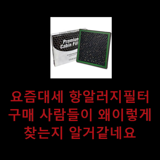 요즘대세 항알러지필터 구매 사람들이 왜이렇게 찾는지 알거같네요 요즘대세 항알러지필터 구매 사람들이 왜이렇게 찾는지 알거같네요
