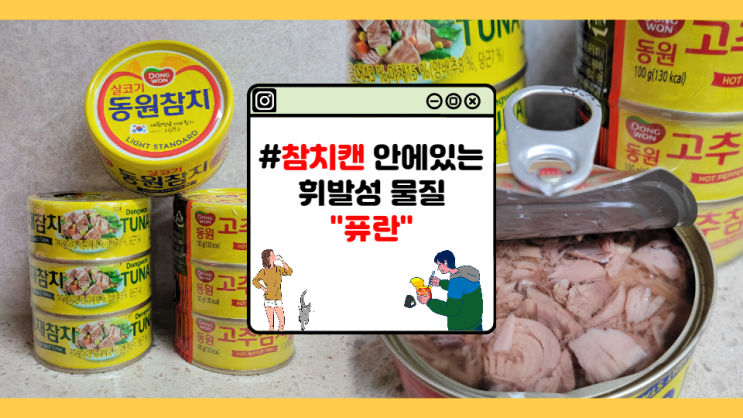 [자취초년생] 참치캔 개봉 후 바로 먹으면 "퓨란"을 먹는 것이다.