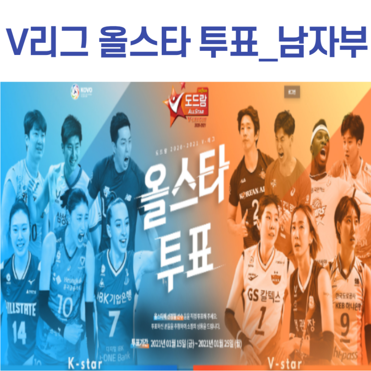 V리그 올스타 투표 남자부
