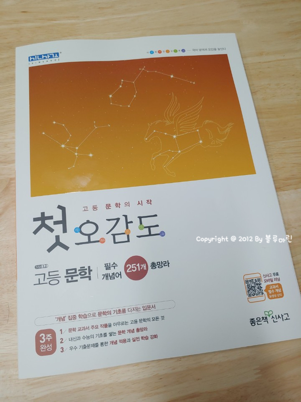  첫오감도 고등 문학 :: 고등 문학 기본기를 다지기에 딱~ 좋네요~
