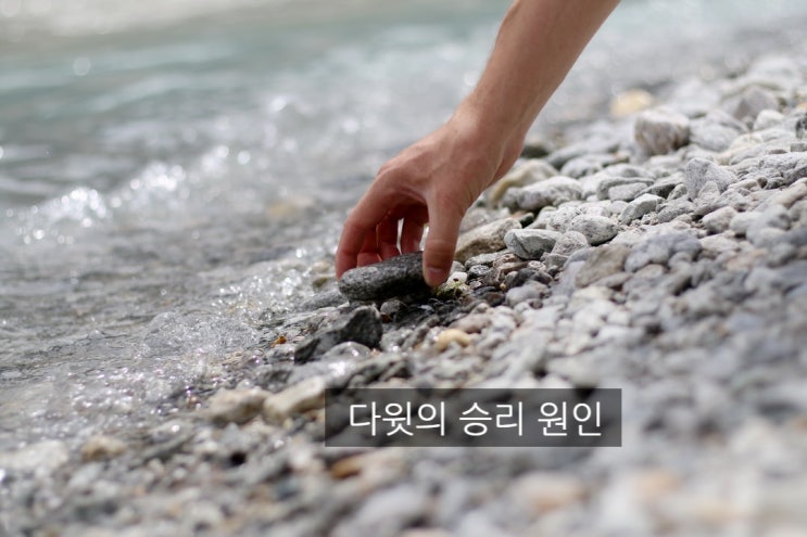  다윗과 골리앗, 다윗의 승리 원인, 물매돌,익숙한 것으로 시작하기, 믿음과 신념을 가지고 나가기