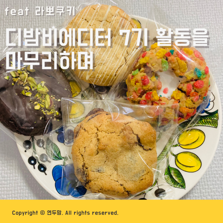 디밤비에디터 7기 활동을 마무리하며 ( feat : 라뽀쿠키 ) 디밤비에디터 7기 활동을 마무리하며 ( feat : 라뽀쿠키 )