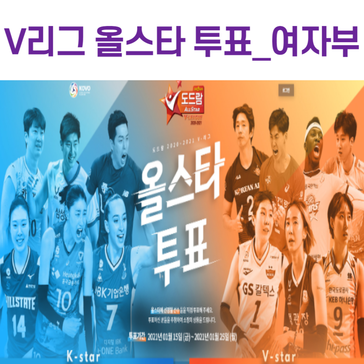 20~21 V리그 올스타 투표 시작