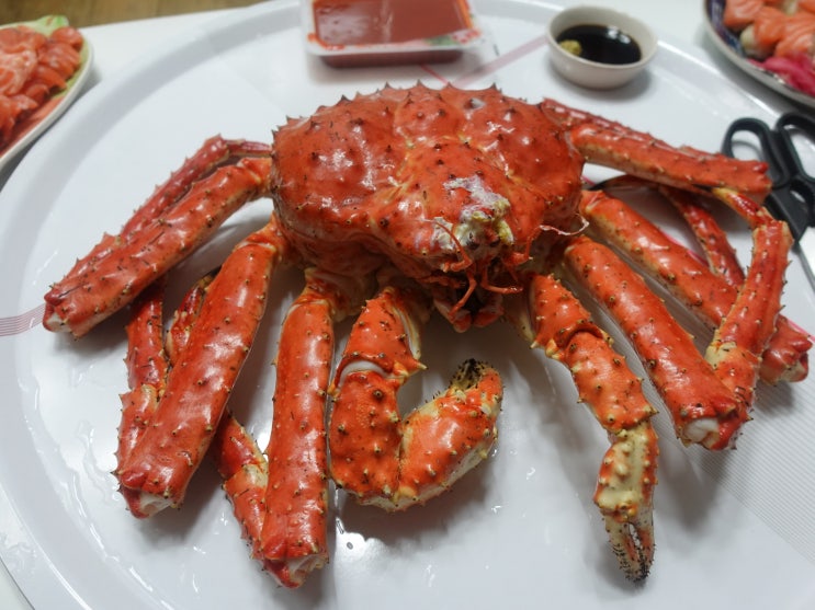  서울 가볼 만한 곳 ㅣ서울의 새벽을 가장 일찍 깨우는 곳 노량진 수산시장 새벽 경매장에 다녀왔습니다! (킹크랩 싯가, 맛있는 선어 킹크랩 고르는 법, 킹크랩 삶는 법)