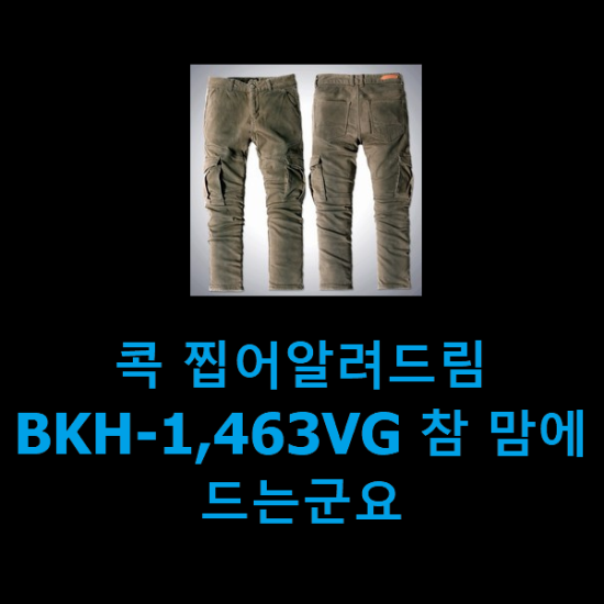 콕 찝어알려드림 BKH-1,463VG 참 맘에드는군요