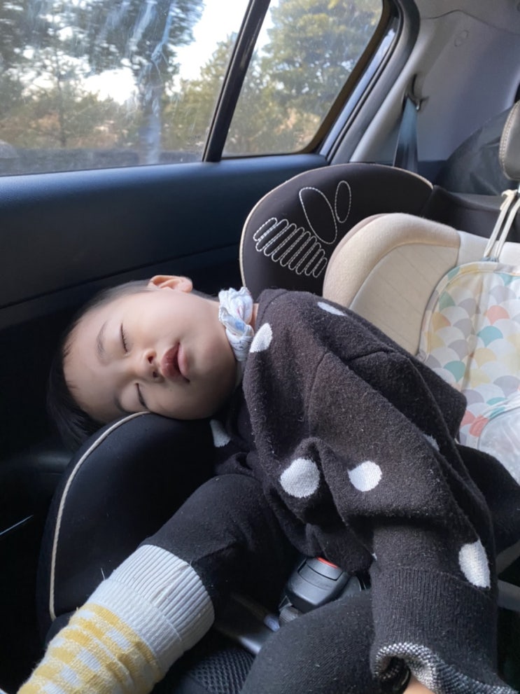  이 정도는 해야 기절하는구나.