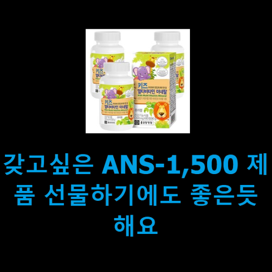 갖고싶은 ANS-1,500 제품 선물하기에도 좋은듯 해요