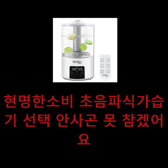 현명한소비 초음파식가습기 선택 안사곤 못 참겠어요 현명한소비 초음파식가습기 선택 안사곤 못 참겠어요