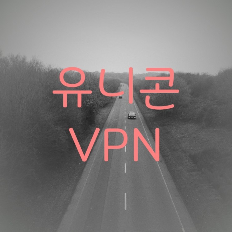 크롬 https 우회 with 유니콘 VPN