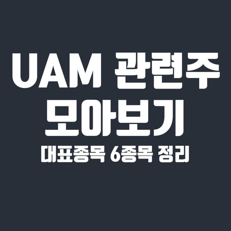  UAM 관련주 6종목(현대차, 기산텔레콤, 네온테크, 베셀, 피씨디렉트, 휴니드)