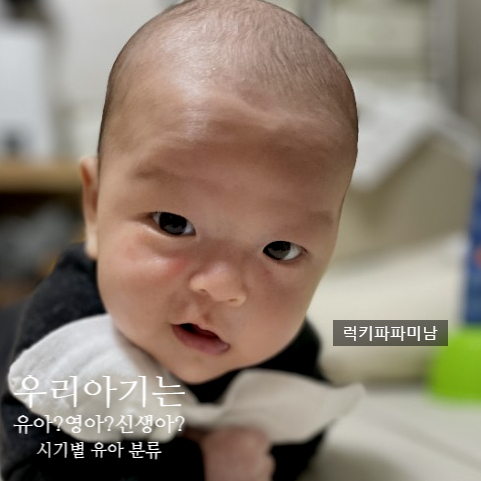  내아이는 유아? 신생아? 영아? 시기별 아기 분류
