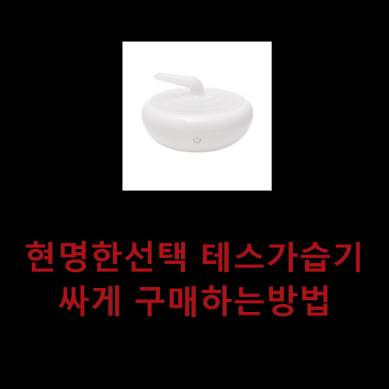 현명한선택 테스가습기 싸게 구매하는방법 현명한선택 테스가습기 싸게 구매하는방법