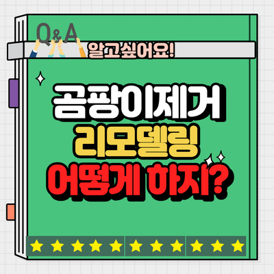  베란다곰팡이제거, 베란다리모델링 -어떻게 하나요?