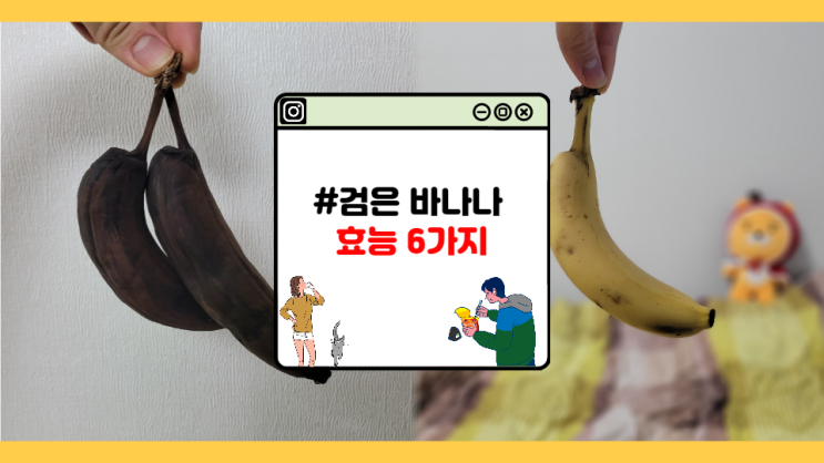 [자취초년생] 검은 바나나는 암 발생률을 낮춰준다. (feat. 효능 6가지)