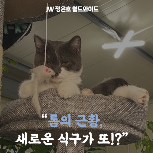  톰의 근황, 새로운 식구가 또!?
