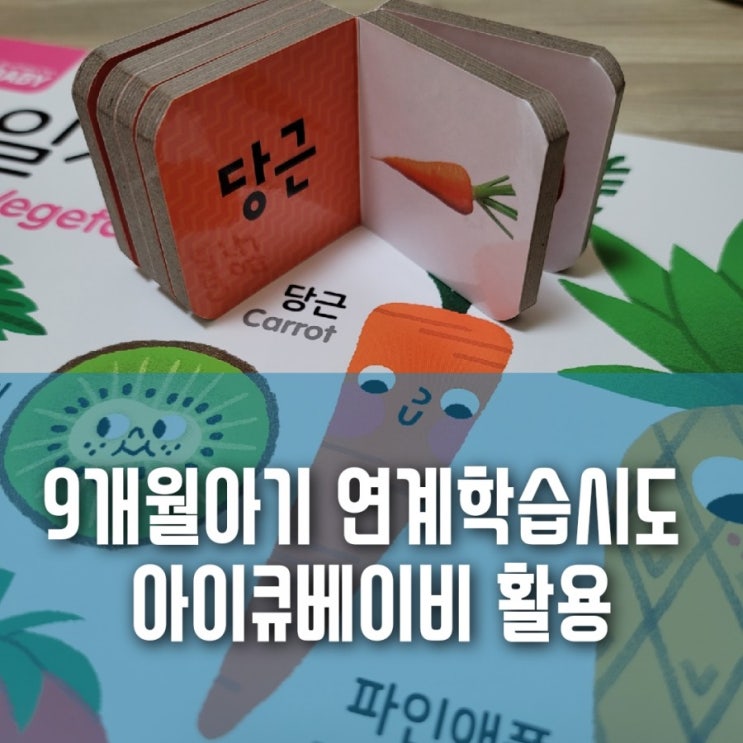 9개월 아기 연계학습 시도:: 블루래빗 아이큐 베이비 교육완구 활용 9개월 아기 연계학습 시도:: 블루래빗 아이큐 베이비 교육완구 활용