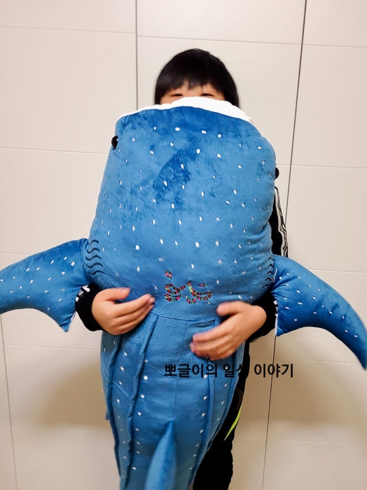  고래상어인형중에 거대한 대형고래상어인형 구매후기