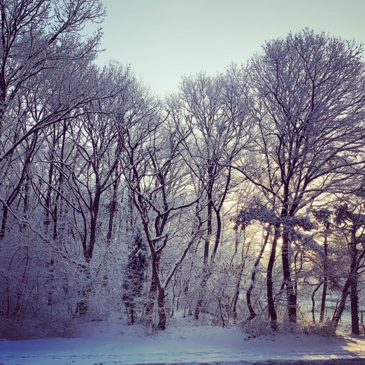 눈 오는 날에 본 풍경들이나 추억 사진들이 있나요? 있다면 블로그씨에게 보여주실래요?