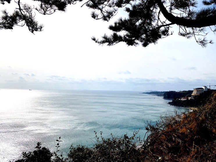  제주도 겨울에 가볼만한곳—예쁜 바다 색깔을 보면서 걷기좋은 중문색달해수욕장