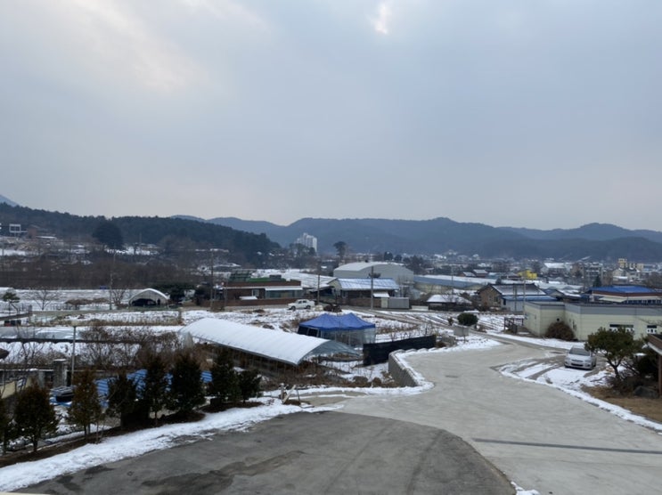  카페마당 동면점 후기; 프렌치토스트 존맛