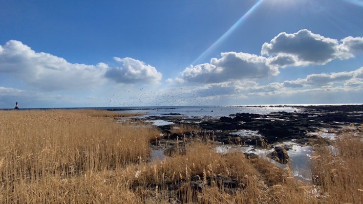  뜻밖의 선물을 보았다.