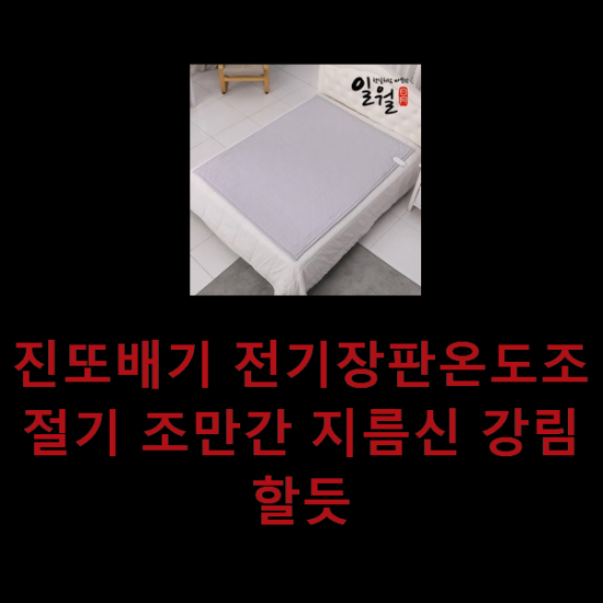 진또배기 전기장판온도조절기 조만간 지름신 강림할듯 진또배기 전기장판온도조절기 조만간 지름신 강림할듯