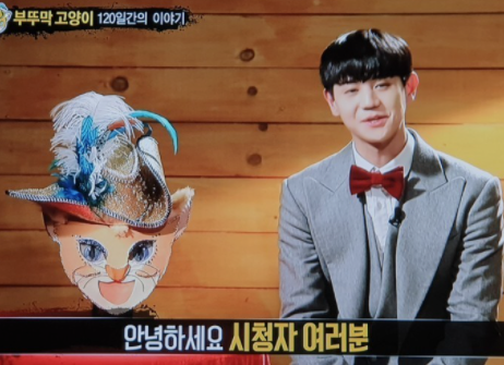  부뚜막 고양이 양요셉 나이 '복면가왕' 새 가왕 보물상자