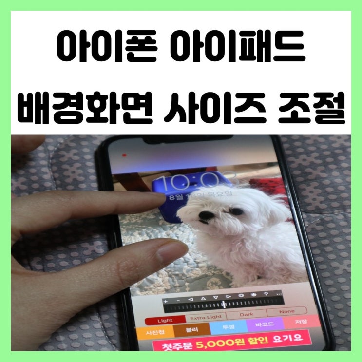 아이폰 아이패드 배경화면 사이즈 조절로 내가 원하는 이미지로 꾸며보자 아이폰 아이패드 배경화면 사이즈 조절로 내가 원하는 이미지로 꾸며보자