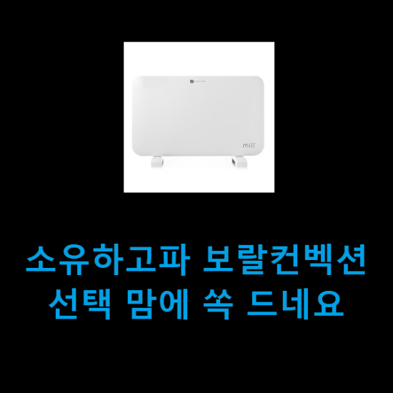 소유하고파 보랄컨벡션 선택 맘에 쏙 드네요