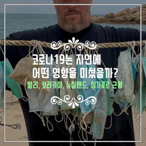  코로나19가 자연에 긍정적일까? 추천 해외여행지  발리, 보라카이, 뉴질랜드, 싱가포르 근황